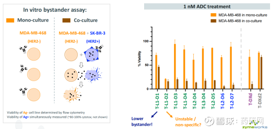 Zymeworks下一代ADC技术ADC平台TOP01i 下一代ADCTOP01i技术平台是今年