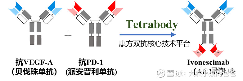 $康方生物-B(09926)$ 头对头K药！PD-1/VEGF双抗AK112治疗晚期NSCLC的Ⅲ期临床试验已启动原创 ... - 雪球