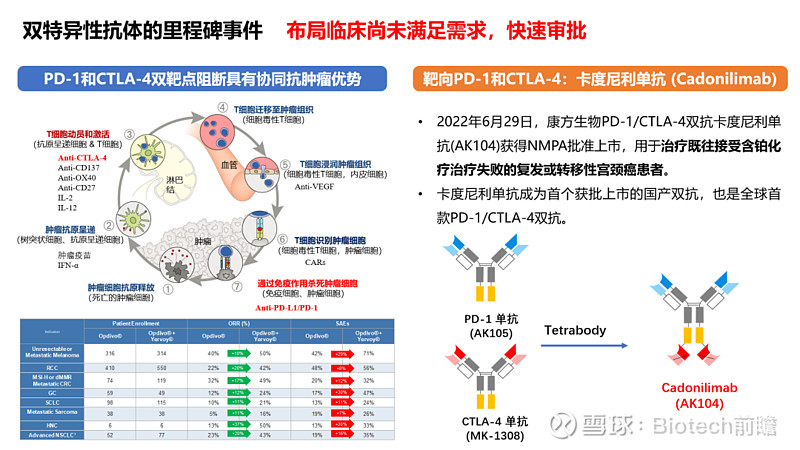 汇总已上市9款双抗/融合蛋白产品，浅析快速获批的差异化优势 以下图片来自于尚未完结的自制幻灯，来自于标注图片中的参考文献。只做知识分享，不做 ...