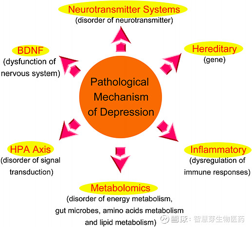 抑郁症的不同发病机制[4]