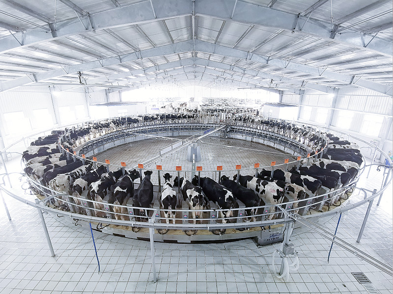 卫岗规模化生态牧场作为扎根江苏的"中华老字号"企业,卫岗一直积极