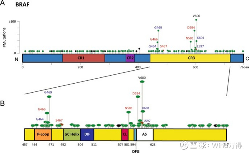 生物医药靶点赛道：ERK1/2通路-BRAF（3） RAS-Raf-MEK 1/2-ERK 1/2 通路 促分裂素原活化蛋白激酶(MAPK ...