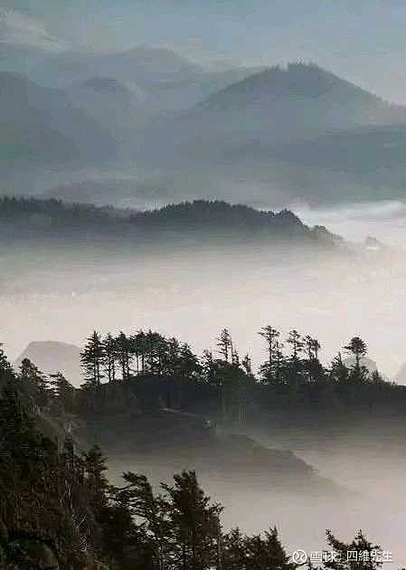 一夜秋风吹梦寒。芳菲换却容颜老。青霜冷雾宿花冠。回首何堪落叶残。转身即是天涯后。盈翠但存画上看。 - 雪球