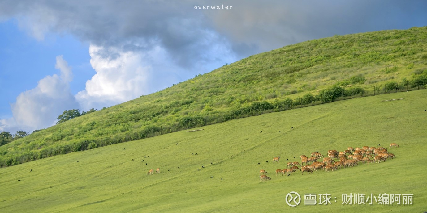 买期权交易会有对手方吗？ 期权是零和博弈游戏，有买就有卖，比如买方下单准备进场，采用“买入开仓”，简称买开。持有一段时间后准备离场，采用“卖出平仓...