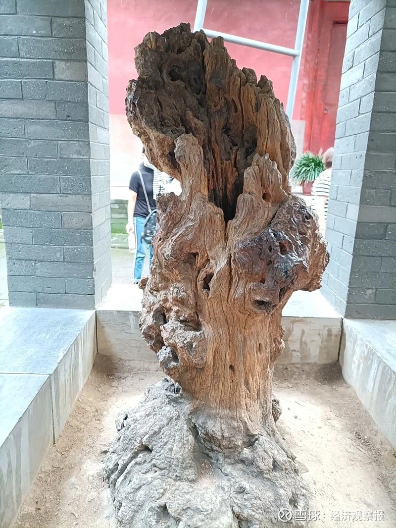 孔林子贡手植楷辩 孔林子贡手植楷辩黎云昆/文孔林,是与山东曲阜最著名的孔府、孔庙并称的名胜古迹,是中国历代纪念孔子,推崇儒学的表征,是历代 ...
