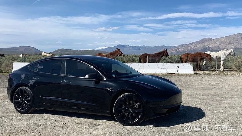 小鹏汽车进口销量