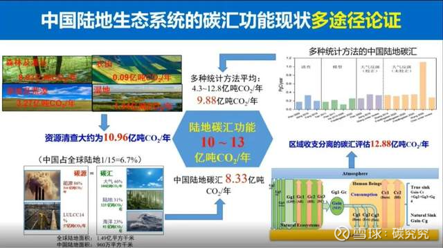 碳汇技术：推动绿色经济的新动力