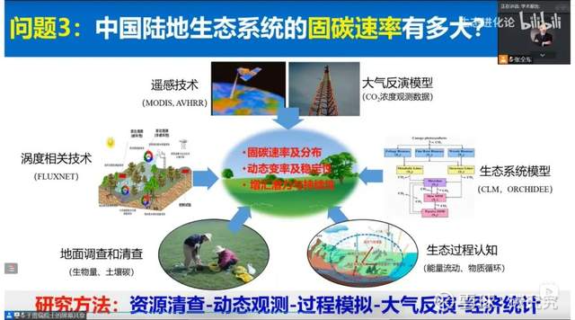 碳汇技术