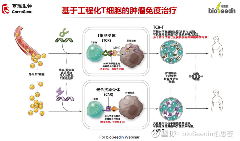 直播剧透丨实体瘤主力军，TCR创新药的机遇与挑战 近日，Immatics公司公布了其靶向PRAME的TCR-T细胞疗法IMA203的最新临床 ...