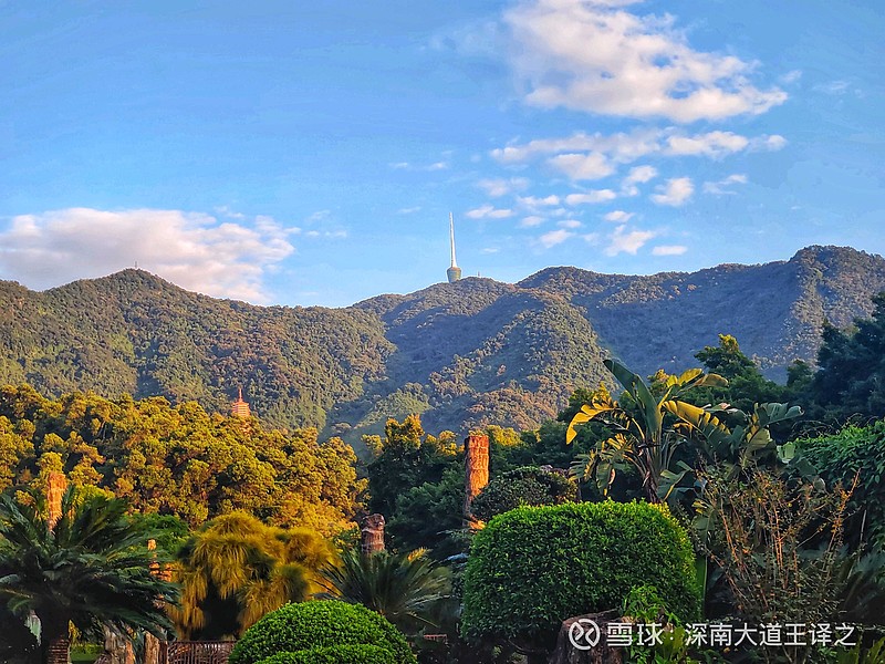 $蔚蓝锂芯(sz002245)$ 吃药了? - 雪球