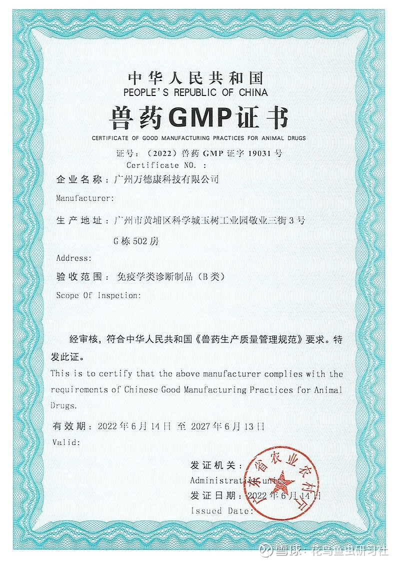 兽医资讯：引领宠物健康新潮流