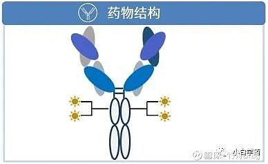 HER2双抗ADC国内获批临床,同质化靶点,差异化前行~ 点击上方的 行舟Drug 添加关注 近日,康宁杰瑞发布公告,收到国家药品监督管理局 ...