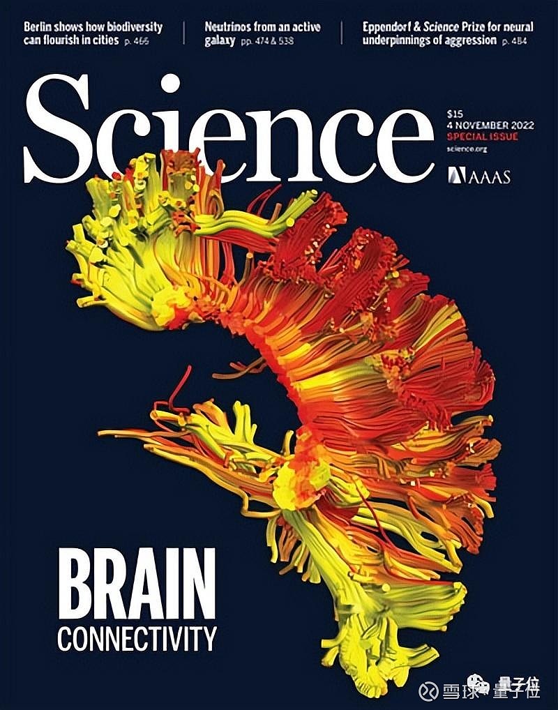大脑分区不是功能关键!Science封面4文连发:智慧从脑区间连接中诞生 Alex 詹士 发自 凹非寺 量子位 | 公众号 QbitAI 是 ...