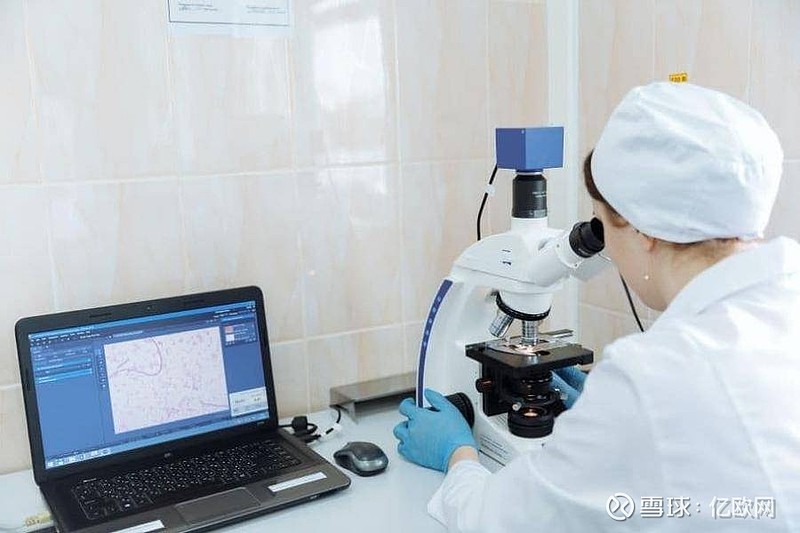 2022年海外值得关注的24家健康科技公司-北美、欧洲、日韩篇