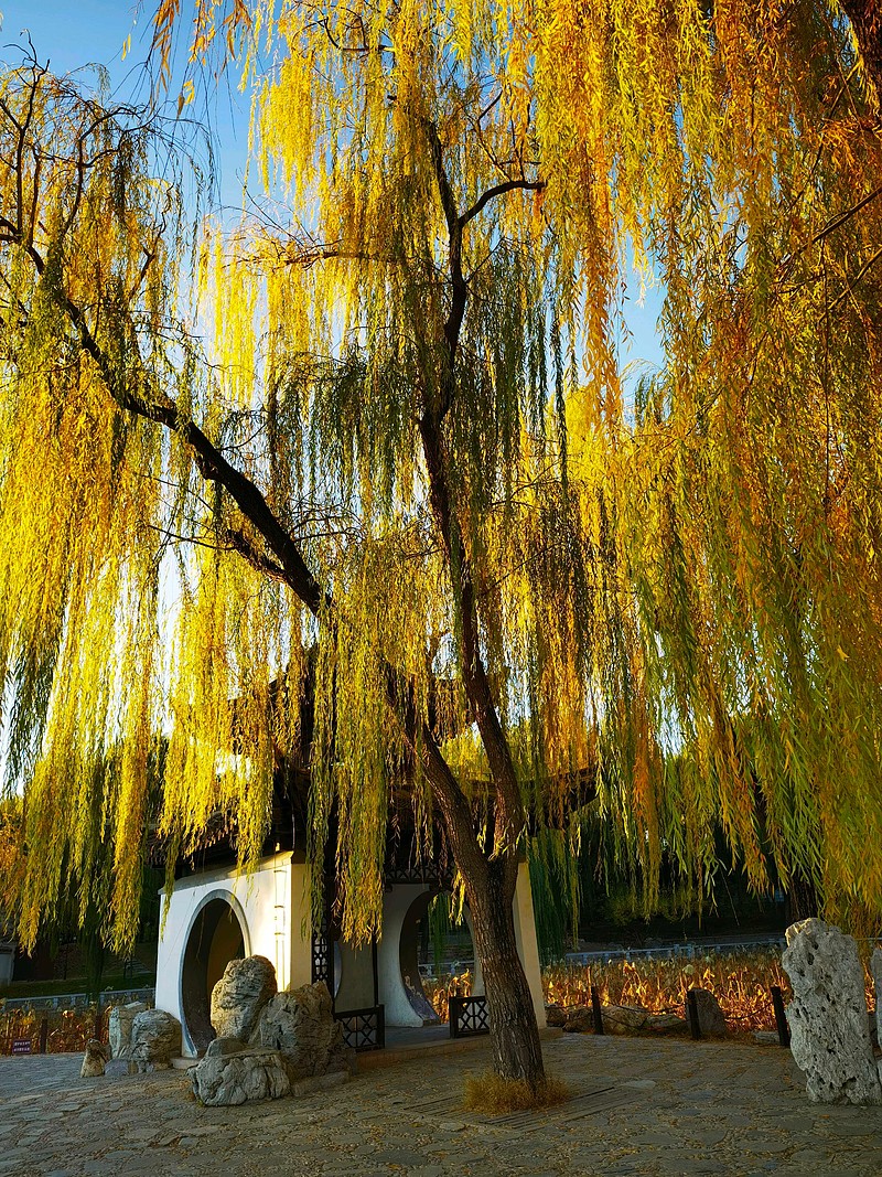 北京的秋。