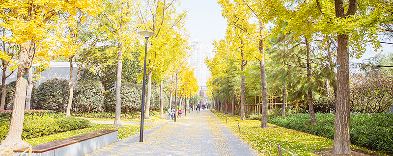 周期轮回 1、行情。今天，市场微涨，悲观情绪开始修复。目前的走势，有点像2013年。2012年12月5日，市场连续大跌后，出现一波... 雪球