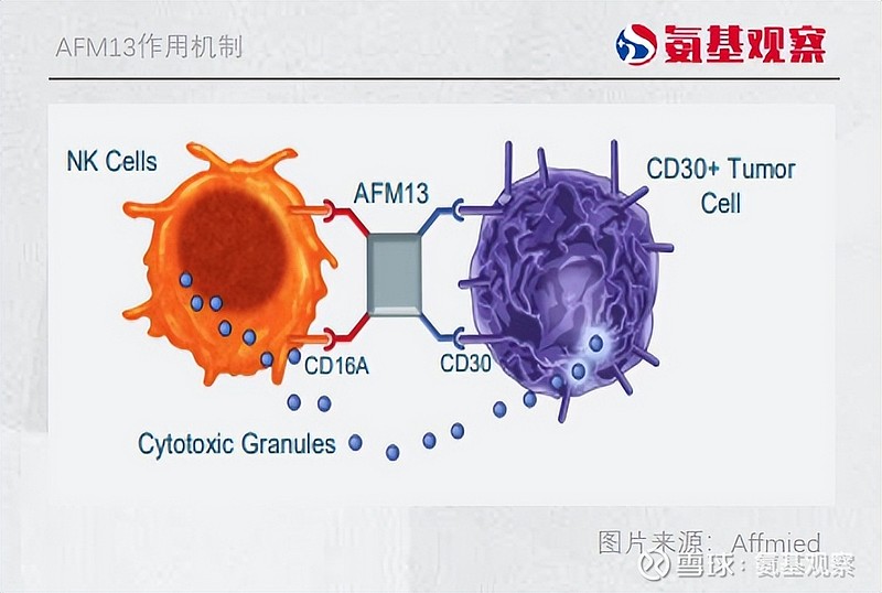 双抗选手势头越猛，CAR-T玩家压力越大 谁能成为挑战者？这曾是CAR-T技术的一大悬念。但如今，谜底或许快要浮出水面。众多双抗领域的实力选手 ...