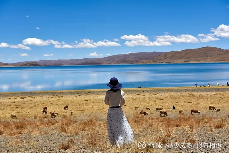 人到中年最深的领悟:远处是风景,近处才是人生 #感悟# 文:安娜贝苏珍惜烟火幸福,安享内心平和。有人说,中年是一扇门,分出了人生的两个阶段。前 ...
