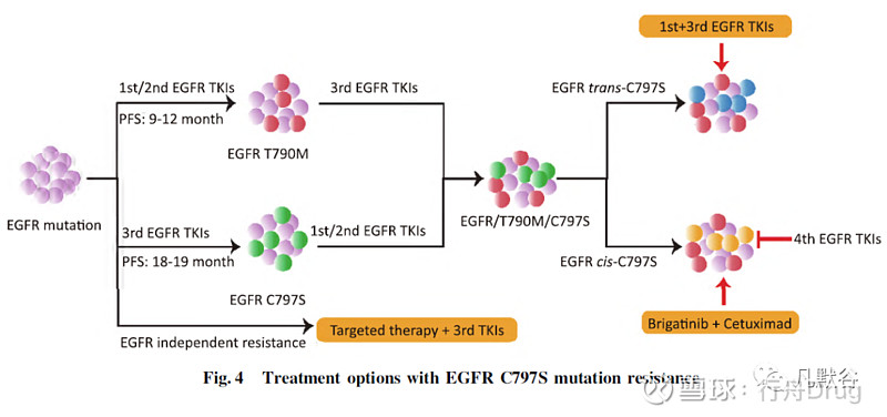 第三代egfr 酪氨酸激酶抑制剂在非小细胞肺癌临床治疗中的应用及研究进展 点击上方的 行舟drug 添加关注 第三代egfr 酪氨酸激酶抑制剂在非小细胞肺癌临床治疗中的应用及研究进展来源《中