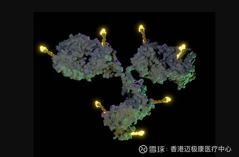 Immunogen Inc. 宣布 FDA 加速批准 ELAHERE 用于治疗铂耐药卵巢癌 2022年11月15日讯 / 香港迈极康 ...