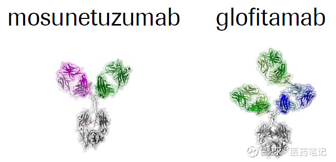 艾伯维/Genmab：CD3/CD20双抗获FDA优先审评资格 Armstrong 2022年11月21日，艾伯维与Genmab宣布CD3 ...