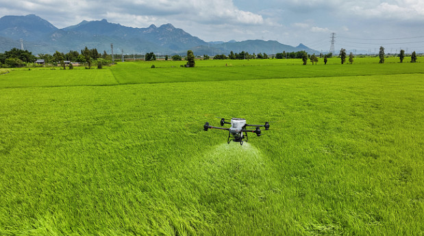 大疆农业 T50、T25 农业无人飞机正式发布，助力用户提效增产，推动现代化农业发展-锋巢网