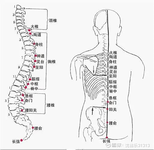 中医养生 督脉 按照《黄帝内经·素问骨空论篇第六十》所讲