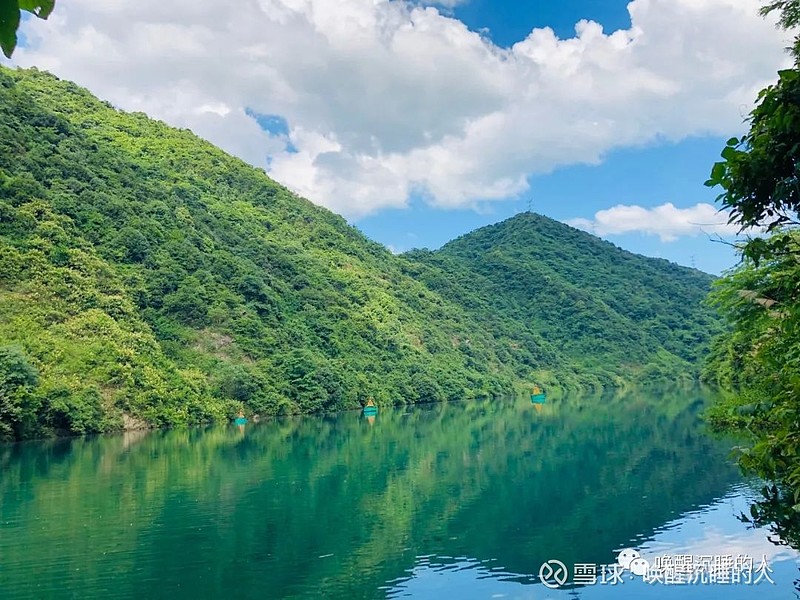 揭秘重庆SEO技术：助力网站优化与流量飙升的秘诀 (揭秘重庆师范大学:一本还是二本?学校实力究竟如何?)