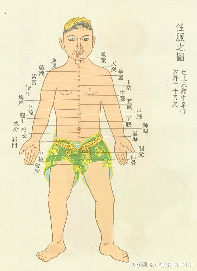 【中医养生】任脉