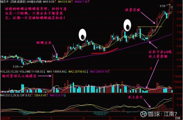 ST龙大涨停揭秘：业绩改善、预制菜布局与股权问题化解的三重利好爱体育- 爱体育官方网站- 爱体育APP下载- 世界杯指定平台