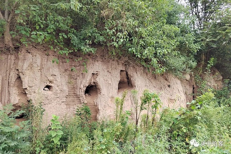 沣西新城寻找东马坊遗址探秘秦国废丘城