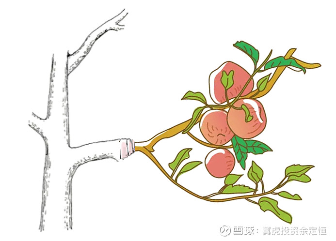 新冠病毒终结者,电子束接枝技术 一、什么是电子束接枝技术?1.1、借用“果木嫁接”概念所谓“接枝”,通俗地来说,可以与果木嫁接技术中人们将两个 ...
