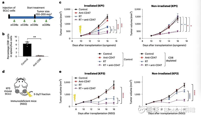 自然子刊丨放疗联合CD47阻断引发巨噬细胞介导的免疫反应 ——楔 子——知识体系的构建,从0到1是难的,即从无到有是难的。从1到2是容易的,即 ...