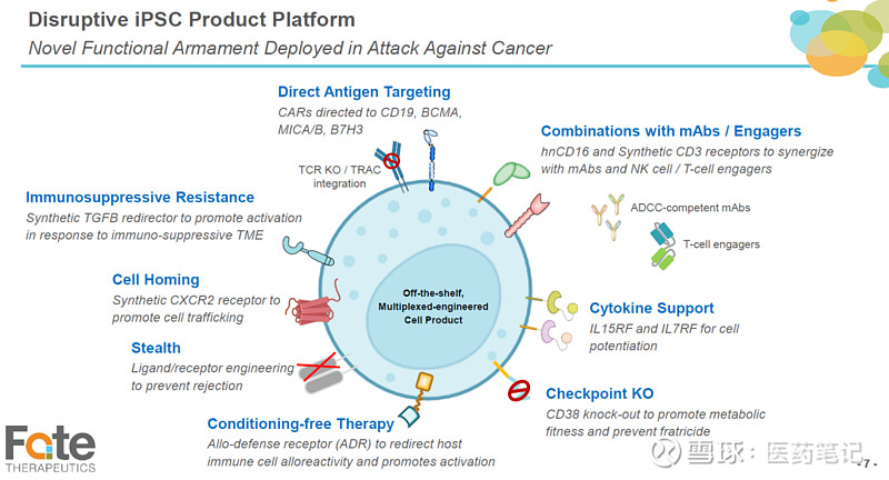 Fate therapeutics обзор