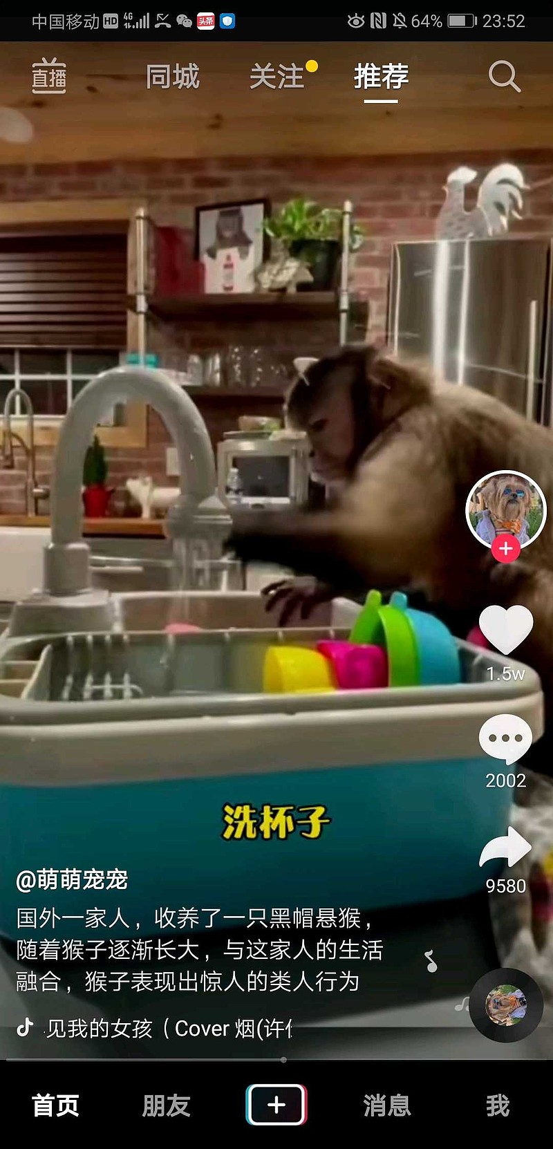 黑帽悬猴地址在哪里