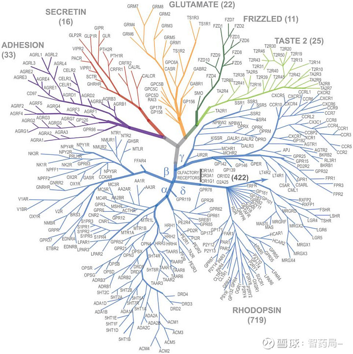 Schr dinger IPO 1 12 Structure Therapeutics schr-dinger-ipo-1-12-structure-therapeutics