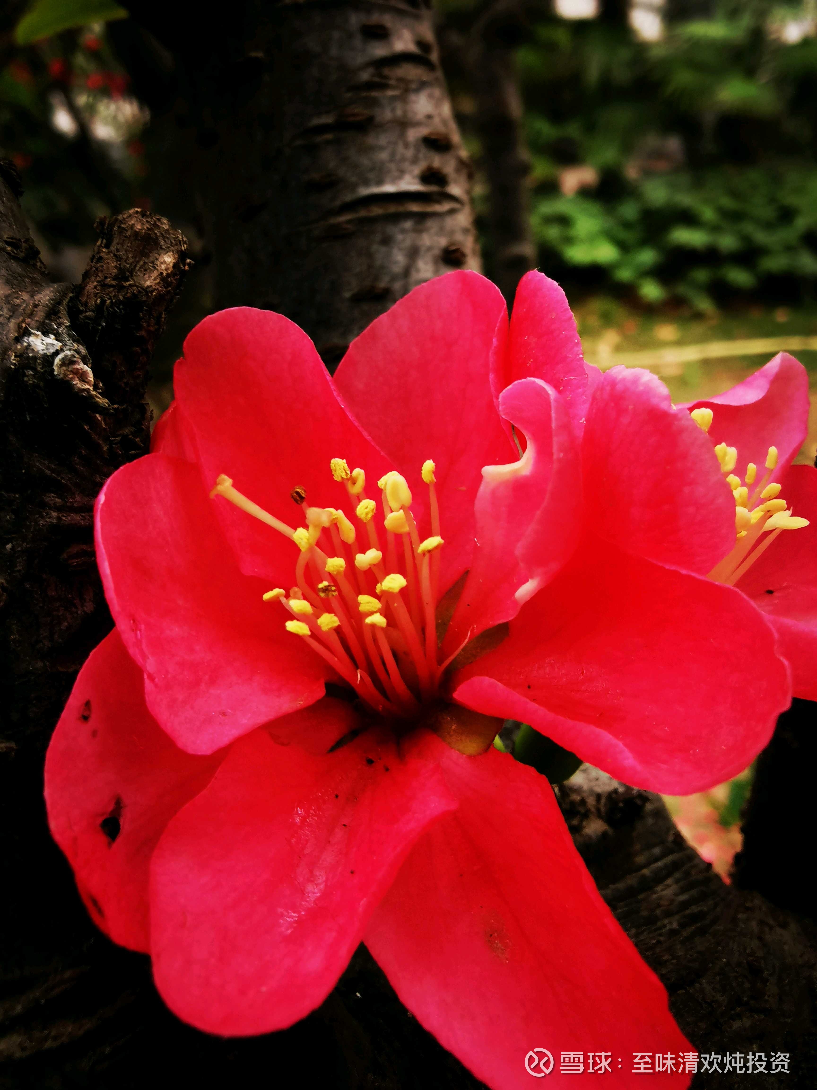 收藏五大国有银行股权，不上班也有钱买入并长期持有五大国有银行 ，持股收息做收租婆，这个投资观念，已经被很多价值投资者所接受，通过这种简单的投资模式，假以时日...