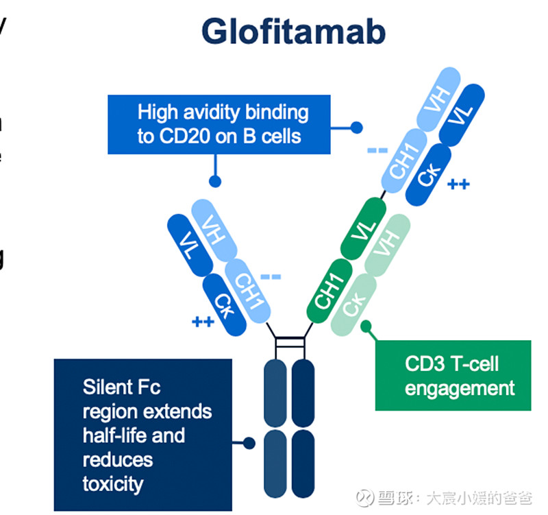 $康诺亚-B(02162)$ 罗氏CD20/CD3双抗在华申报上市原创 药研网 2023-02-01 12:33 发表于... - 雪球