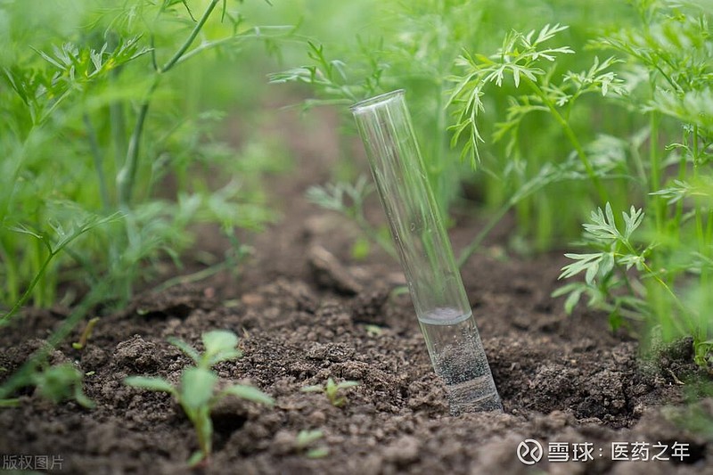 磷化工迎爆发风口!产业链龙头全梳理 2023-02-27 近期,一号文件进一步强调粮食安全政策,农化行业迎来政策催化。叠加春耕备耕行情来临支撑 ...