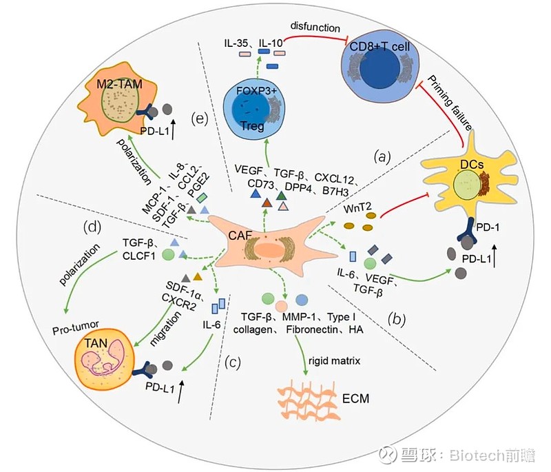  cafs pd 1 pd l1 