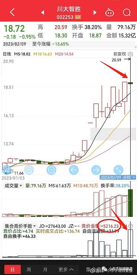 全面解析竞价SEO策略：掌握关键词竞价技巧，提升搜索引擎优化效果 (全面解析竞价方案)