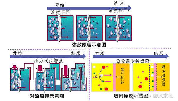 血液净化对比图片