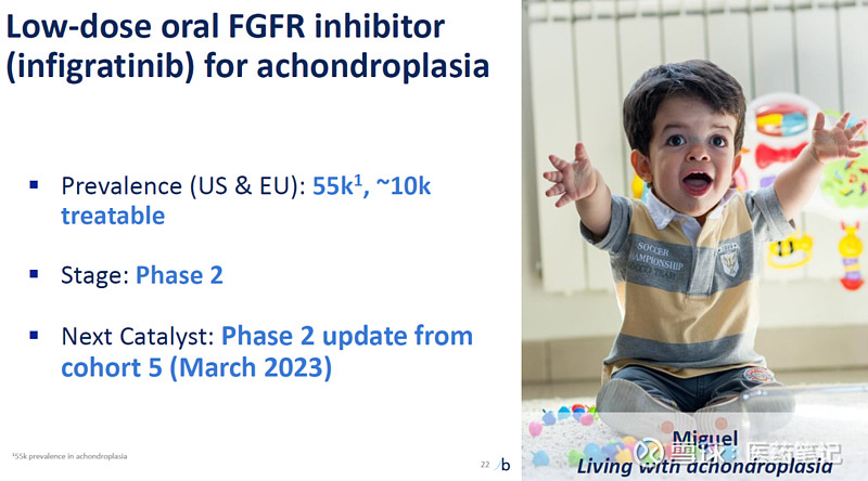 BridgeBio股价大涨70%：Infigratinib软骨发育不全二期临床成功 Armstrong 2023年3月6日 ...