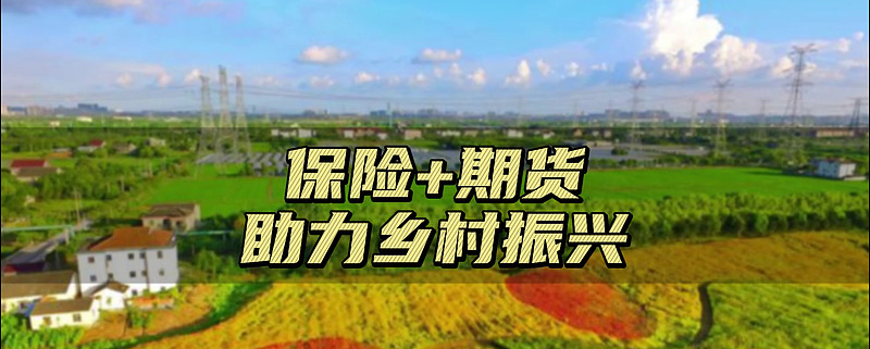 大会代表提出了"保险 期货"的金融创新模式.那这模式什么意思呢?