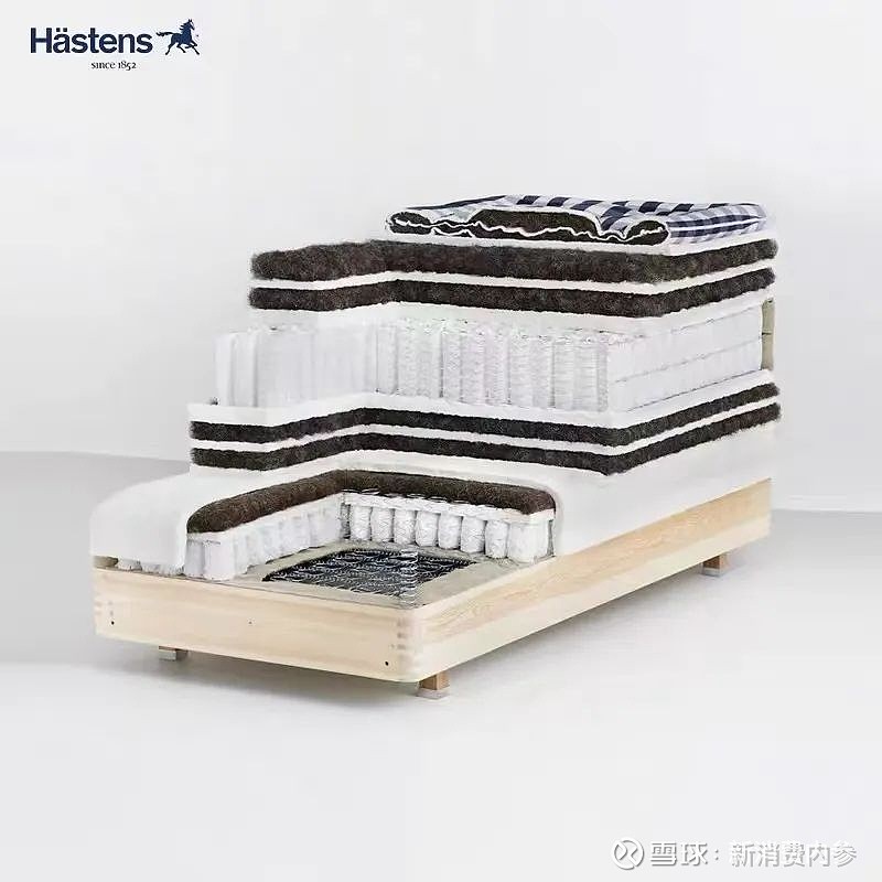 床垫卖那么贵,床垫企业为什么还难赚钱? 这是新消费智库第1955期文章 新消费导读 大牌床垫到底贵在哪? 作者:贾诗卉 编辑:竺天 审核 ...