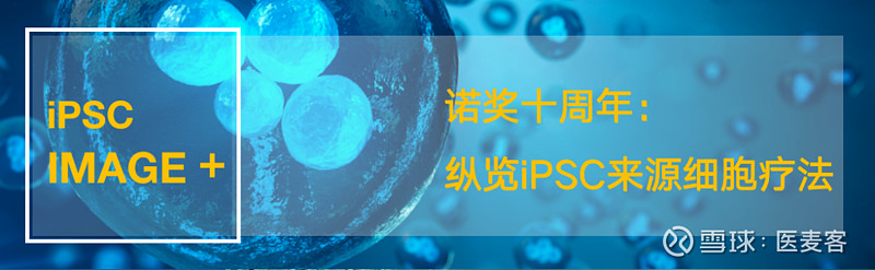 打破疗效&持久性局限，iPSC来源的免疫细胞工程化改造应用进展 近期热门文章 ★iPSC疗法全球在研管线梳理分析|建议收藏 ★与疗效伴生的致命 ...
