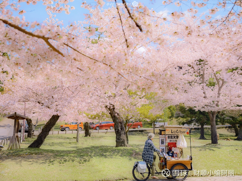 期权、股权、原始股和股票之间的区别有哪些？ 期权、股权、原始股和股票都是与公司所有权和价值相关的概念，但它们在意义和用途上略有不同。1.期权 （Option）是一种金...