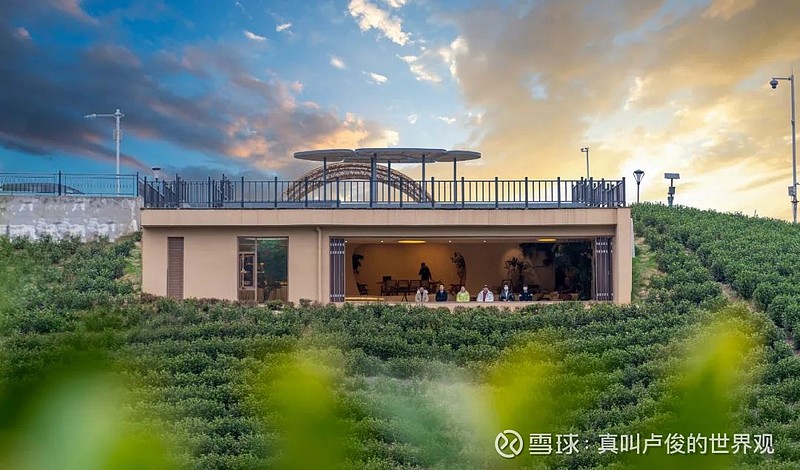 世界一流的乡村,正在我眼前发生 在安吉·白茶原,开门见茶山是常态,拥有70%以上的森林覆盖率,上百亩翠绿的茶田,用满眼都是绿意来形容一点都不为 ...