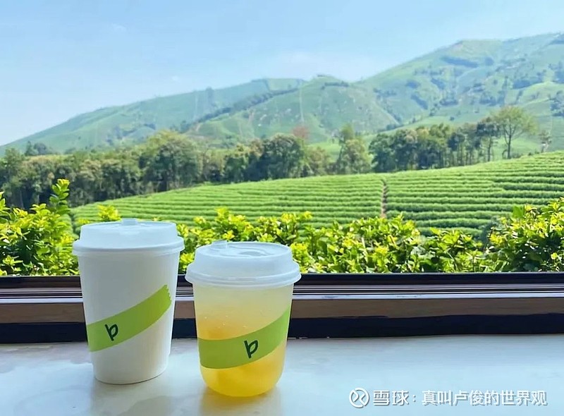 世界一流的乡村,正在我眼前发生 在安吉·白茶原,开门见茶山是常态,拥有70%以上的森林覆盖率,上百亩翠绿的茶田,用满眼都是绿意来形容一点都不为 ...