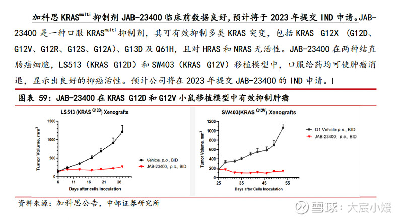 $加科思-B(01167)$ KRAS multi和泛RAS（PAN-RAS），这两种药物开发策略到底有什么区别？一篇今... - 雪球